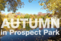 Autumn in Prospect Park