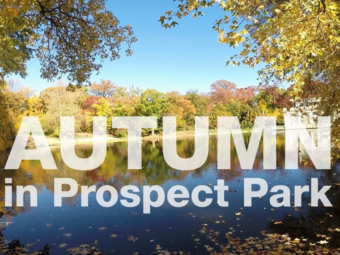 Autumn in Prospect Park